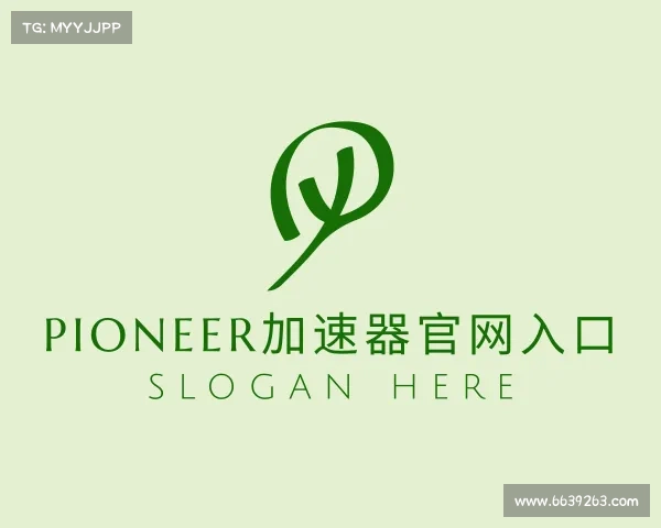 介绍pioneer加速器官网入口
