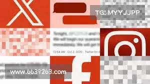 pioneervrn加速器——「高效整合助力，放眼未来商机！」